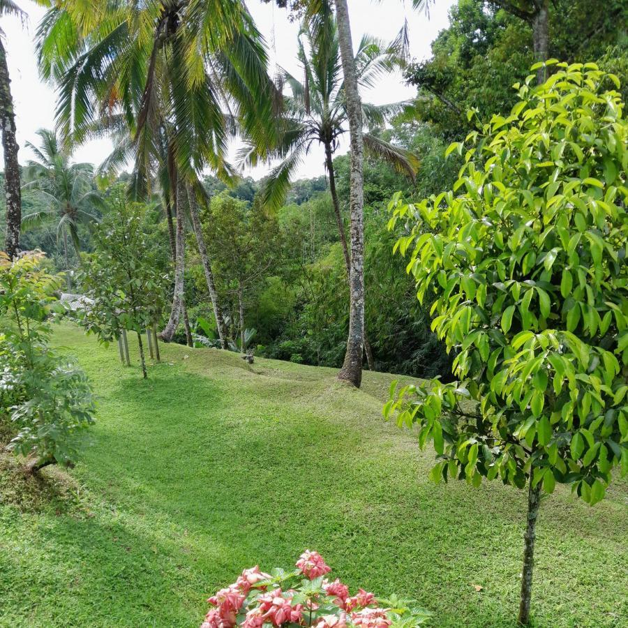 Sugita Wooden House Hotel Payangan Exterior photo